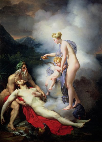 Venus heilt Adonis von French School